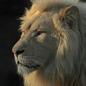 Meet your Posher, Sanghee